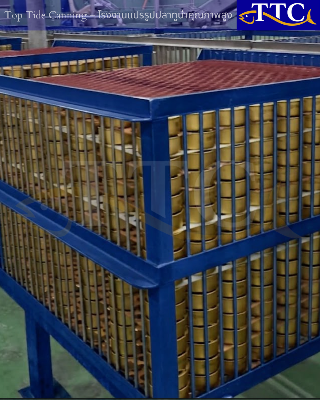 Export Packaging and Can Sizes