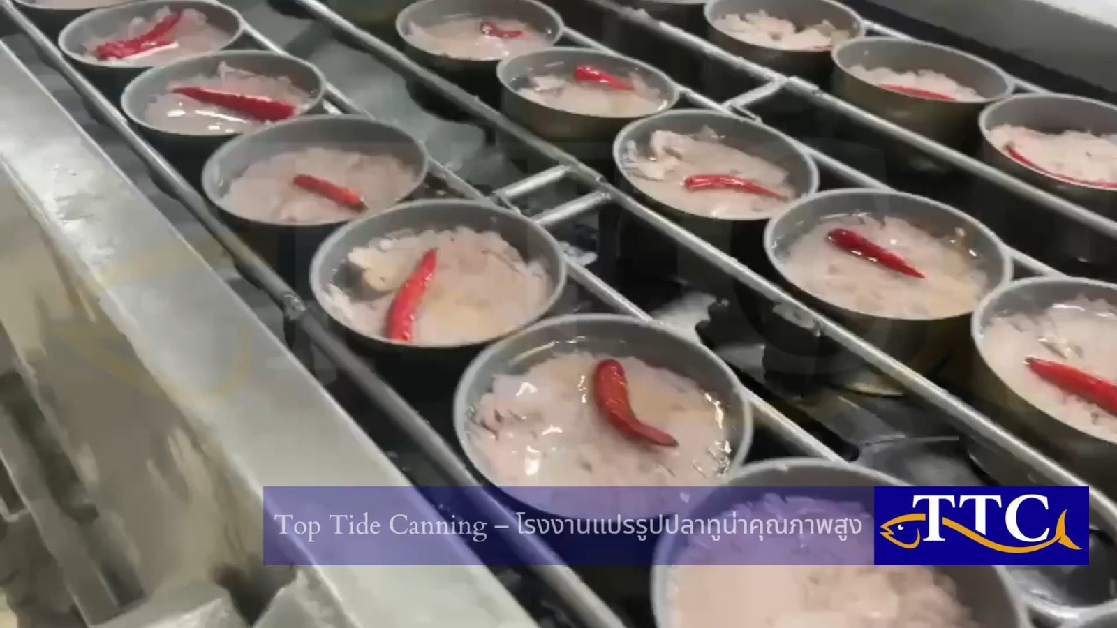 Top Tide Canning Factory Processing