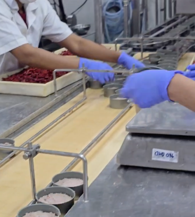 Top Tide Canning canned tuna production line and exporter