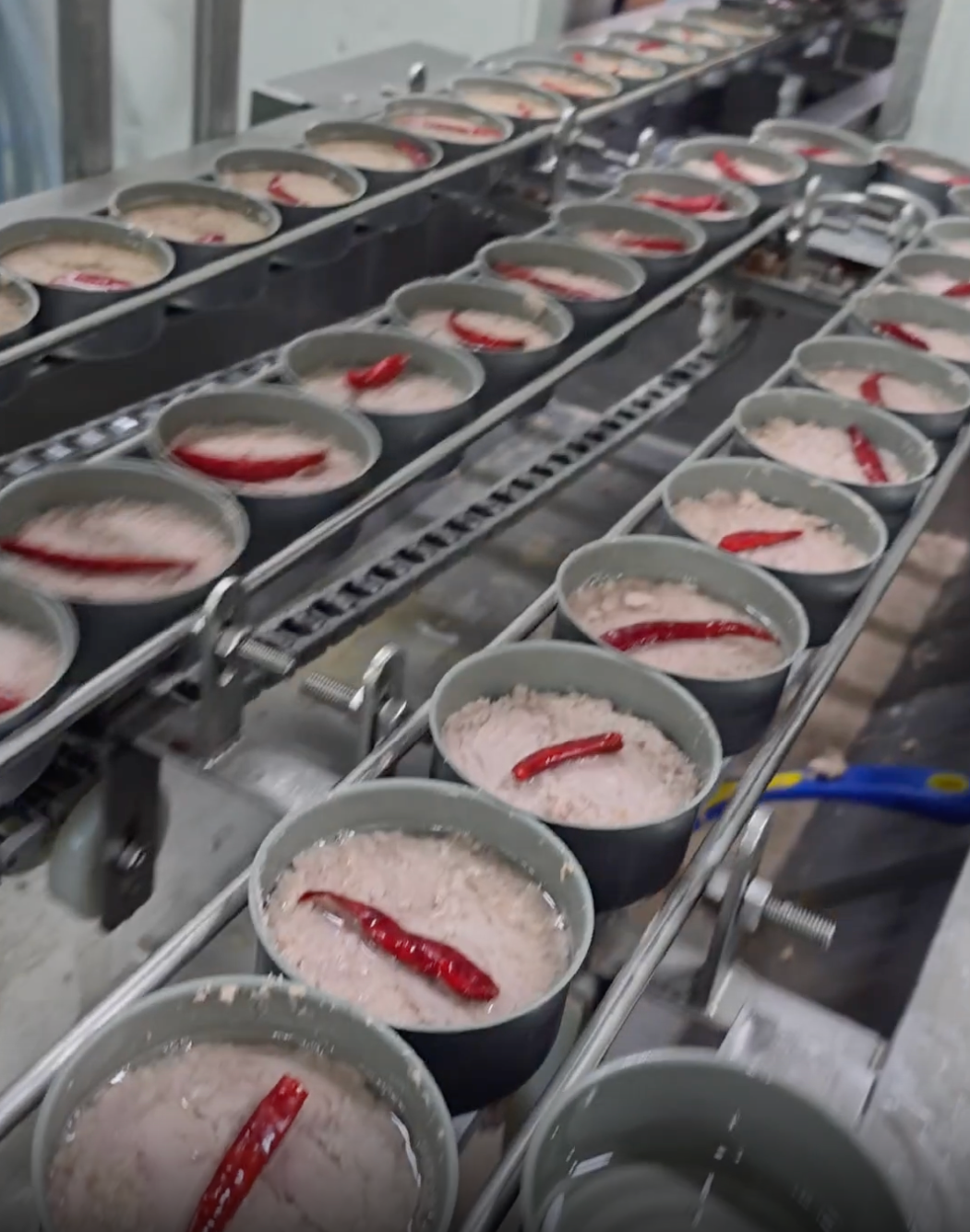 Top Tide Canning — Factory Line Processing and Packaging Tuna Cans