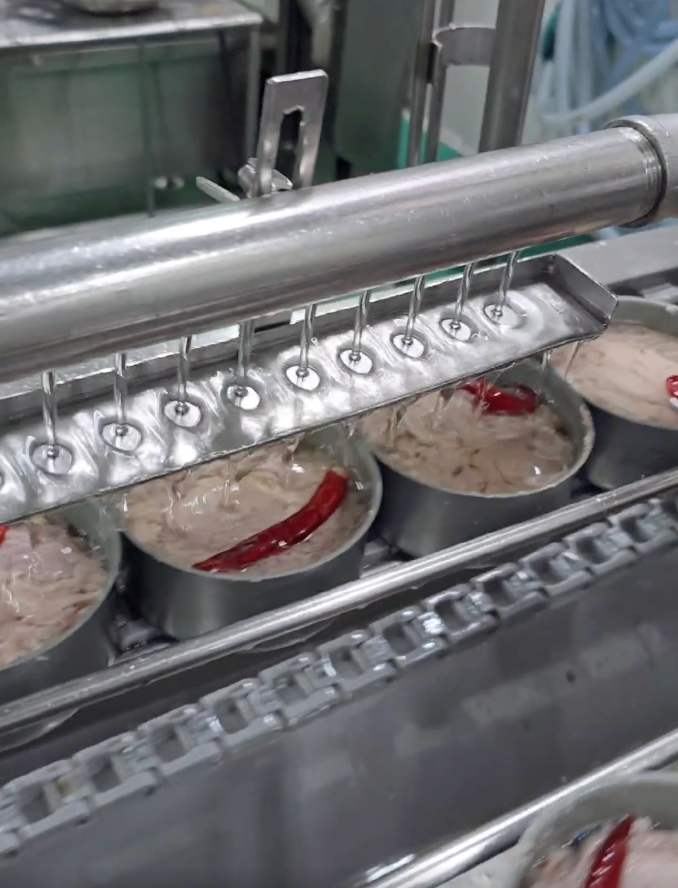 Top Tide Canning tuna processing and packaging factory