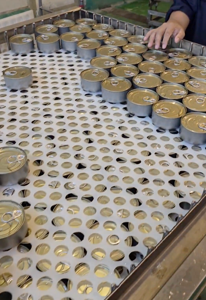 Top Tide Canning canned tuna supplier and exporter for Algeria