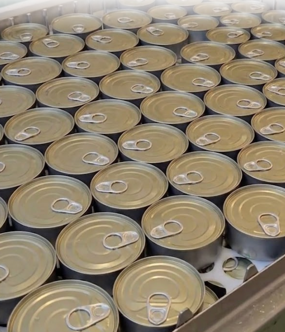 Top Tide Canning — bilingual certified canned tuna supplier and exporter for Canada