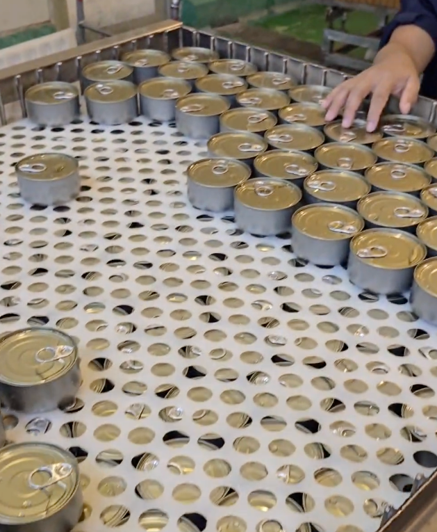 Top Tide Canning canned tuna supplier and exporter for Djibouti