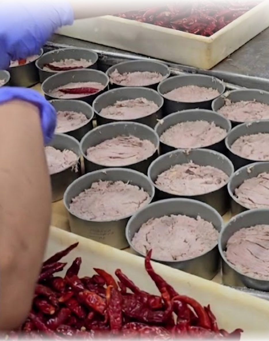 Top Tide Canning — DIGENOR and MISPAS compliant canned tuna supplier for the Dominican Republic
