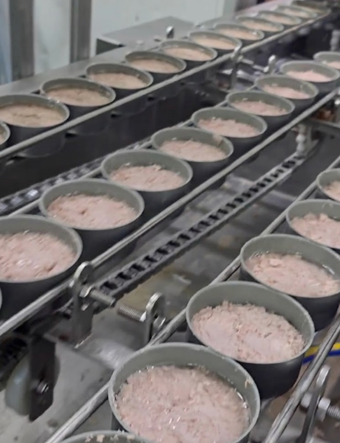 Top Tide Canning — FSANZ and MPI compliant canned tuna supplier and exporter for New Zealand
