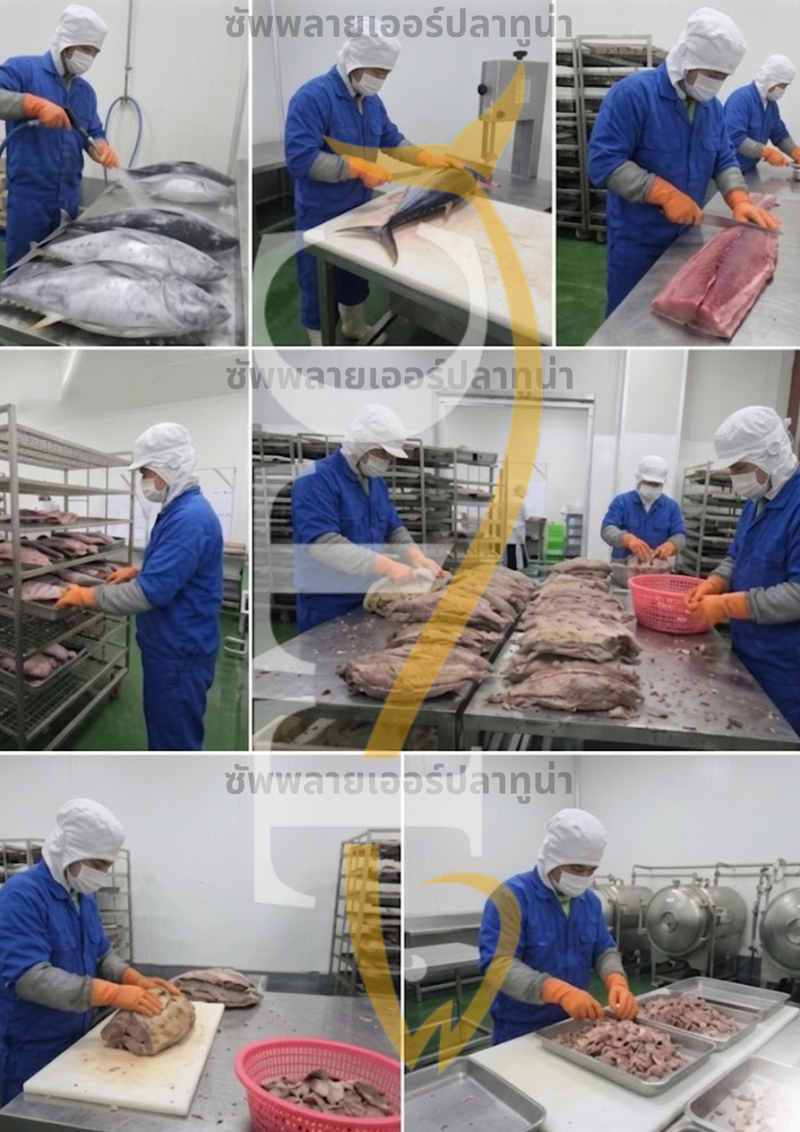 Modern canned tuna manufacturing facility