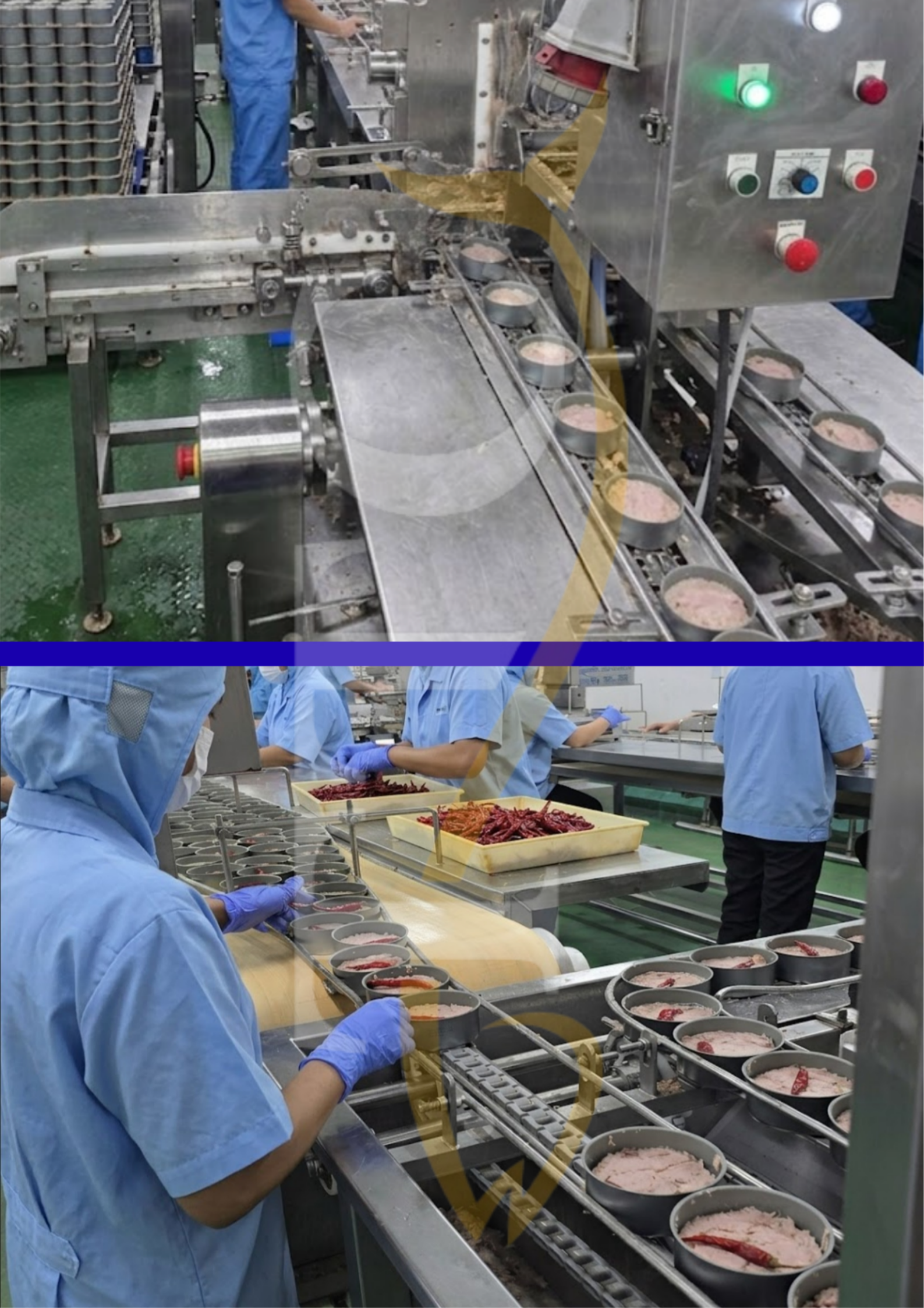 Premium Canned Tuna Fish Ready For Export
