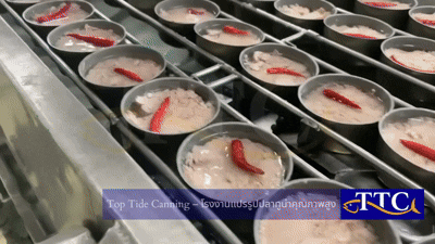 Top Tide Canning Factory Processing