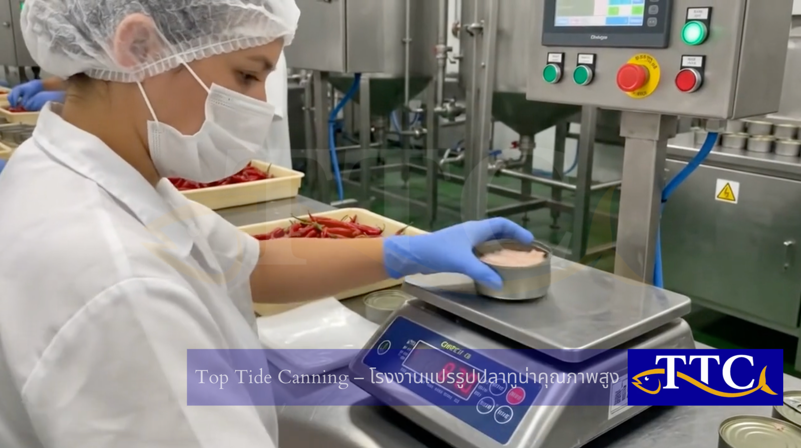 tuna-canning-production-line-top-tide-canning