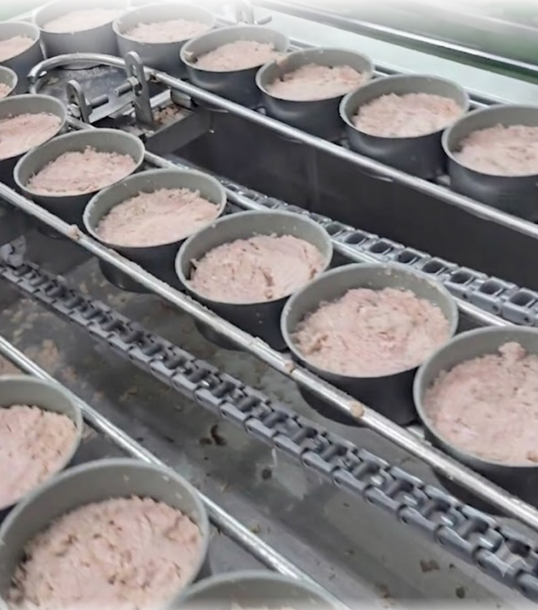 Top Tide Canning — MFDS-compliant canned tuna supplier for South Korea