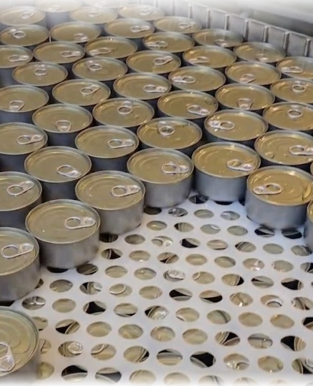 Top Tide Canning — BPOM ML and MUI Halal compliant canned tuna supplier for Indonesia