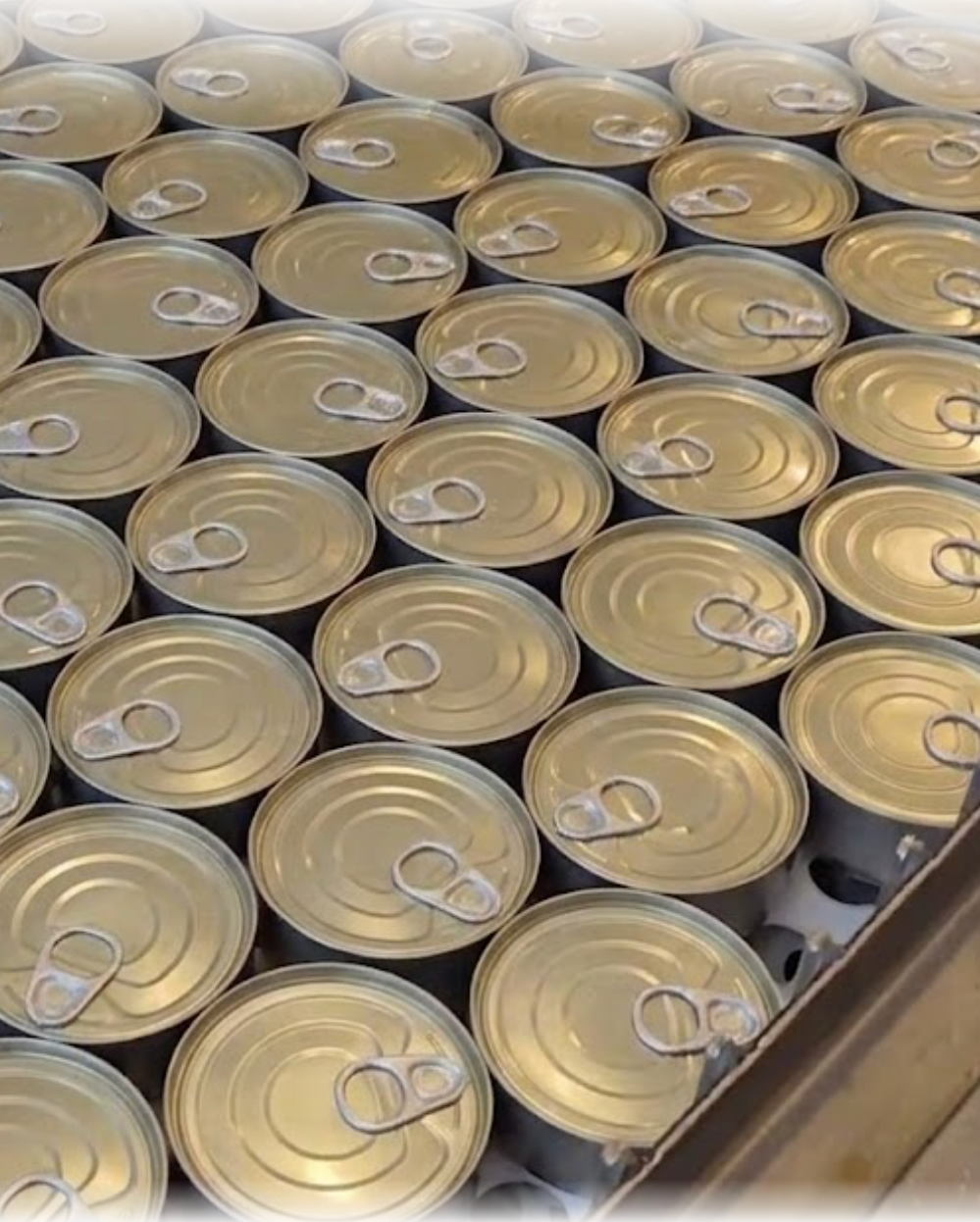 Top Tide Canning — FDA and BFAR compliant canned tuna supplier for the Philippines
